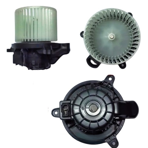 K 10