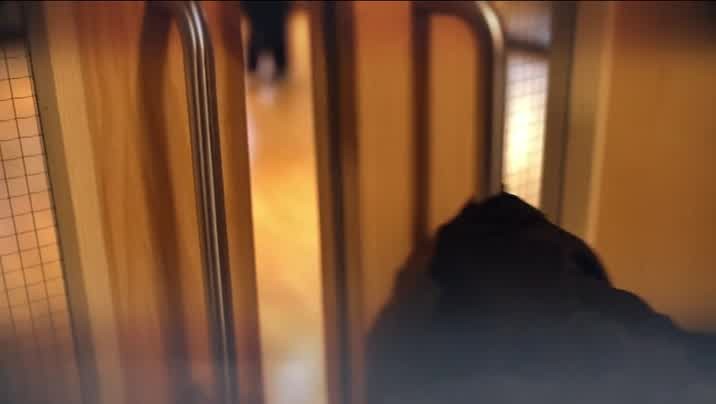 [Image: kt7cg5knb45k.jpg]