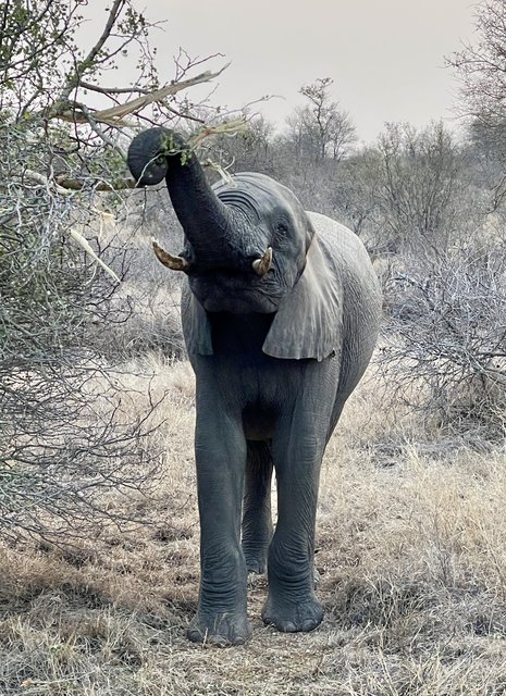 [Linked Image from i.postimg.cc]