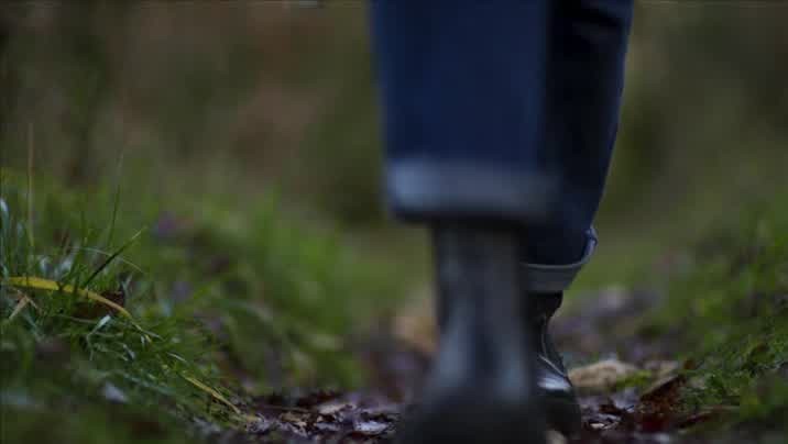 [Image: qjg27et85ute.jpg]