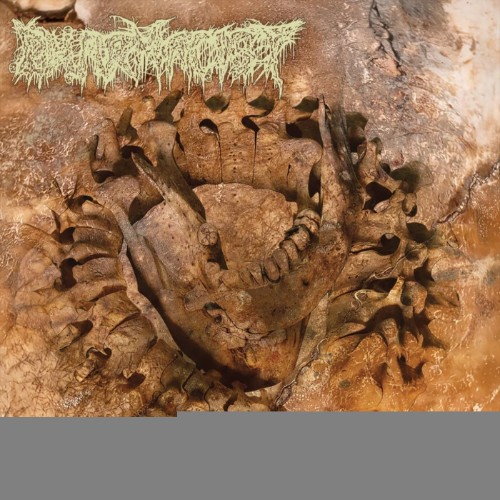 Pharmacist - Vertebrae After Vertebrae (2026)