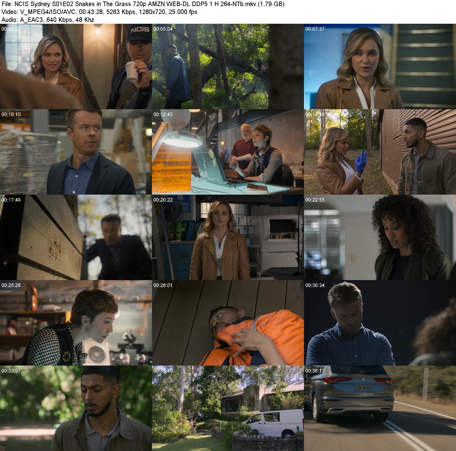 [Image: plwyu20iy7h2.jpg]