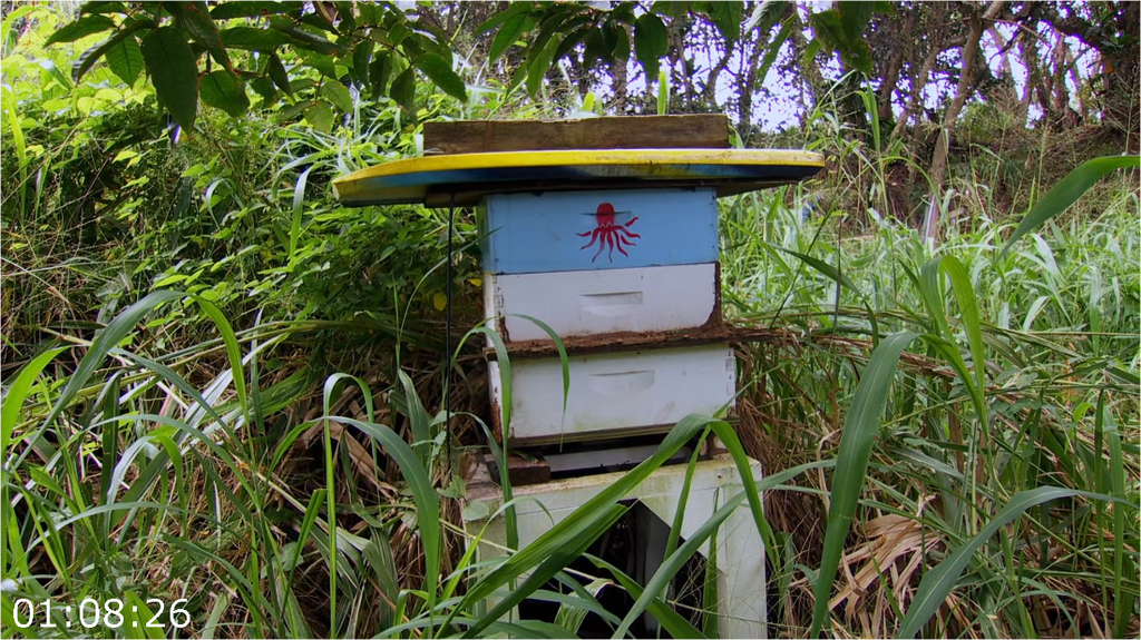 [Image: jez6ph2tr9w6.png]