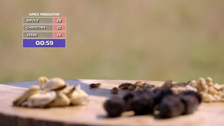 [Image: svosgt8l49g1.jpg]