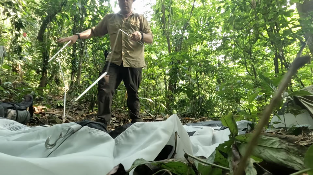 [Image: c63hw4cse3la.png]