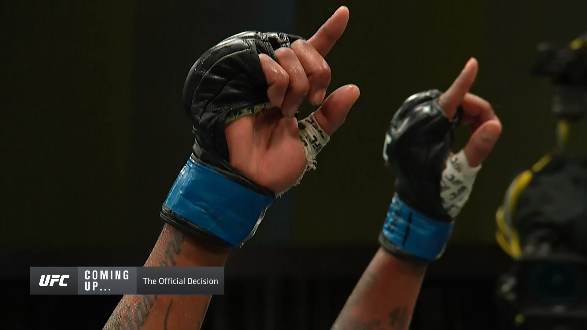 UFC on ESPN 12 1080p HDTV x264-WH