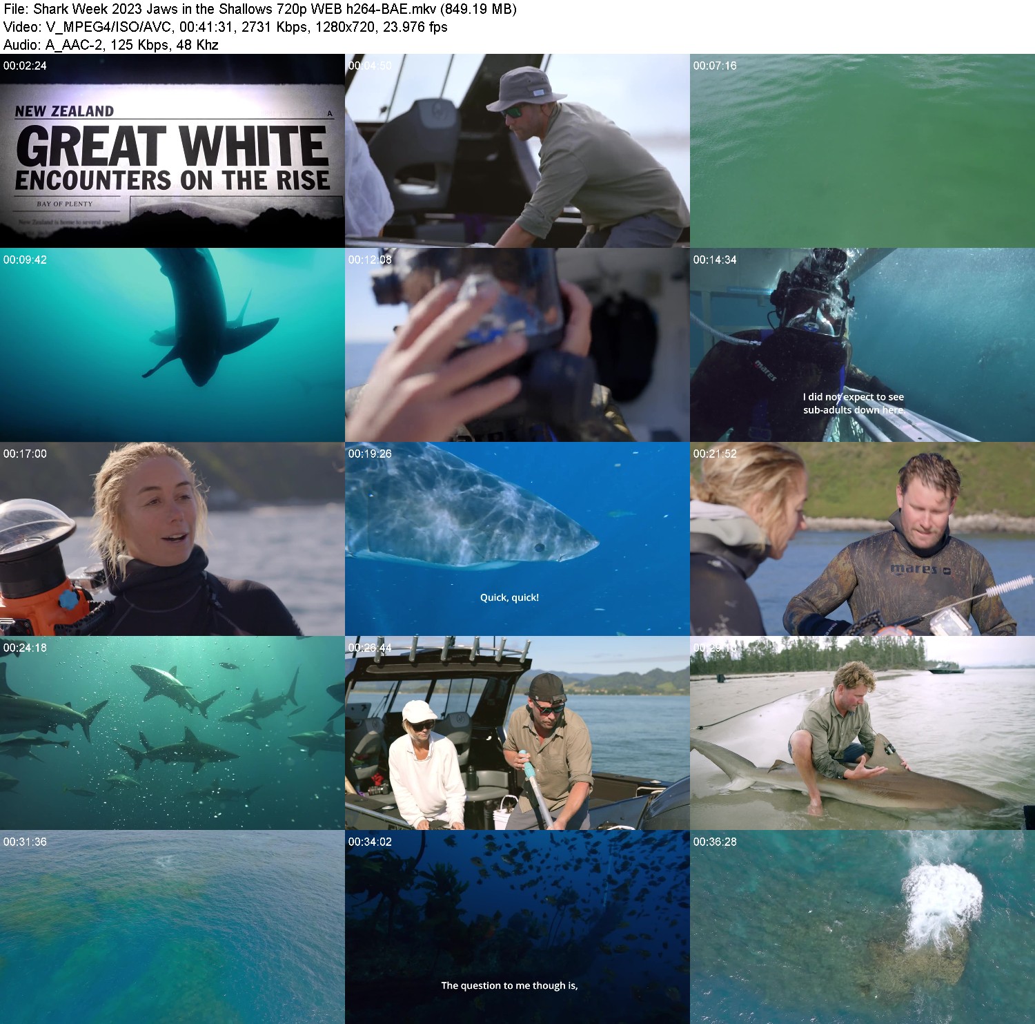 [Image: xd6o0pka3e5m.jpg]