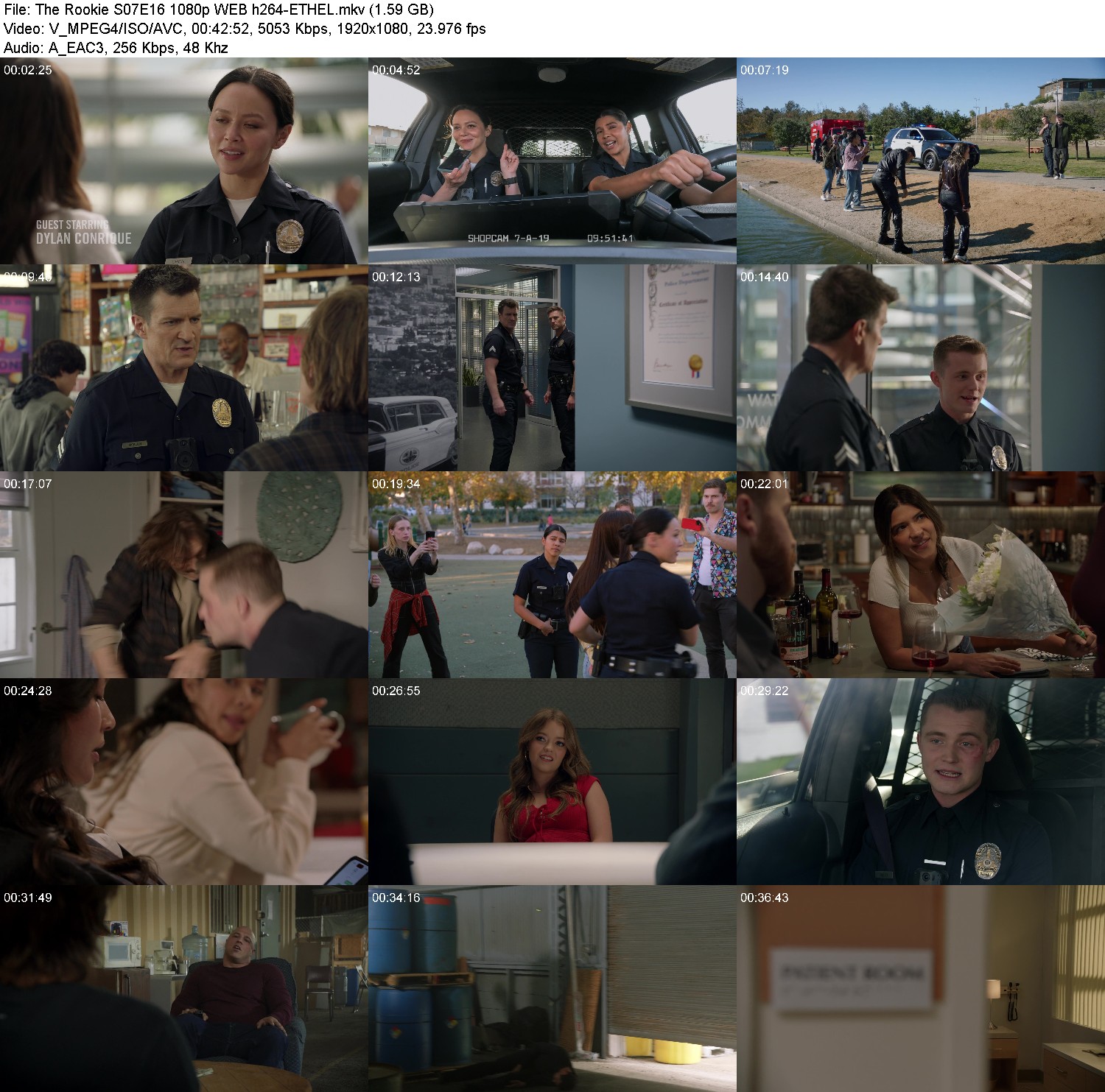 [Image: yrk98z4g3obv.jpg]