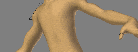 c-oxfox-shoulder-curl.gif