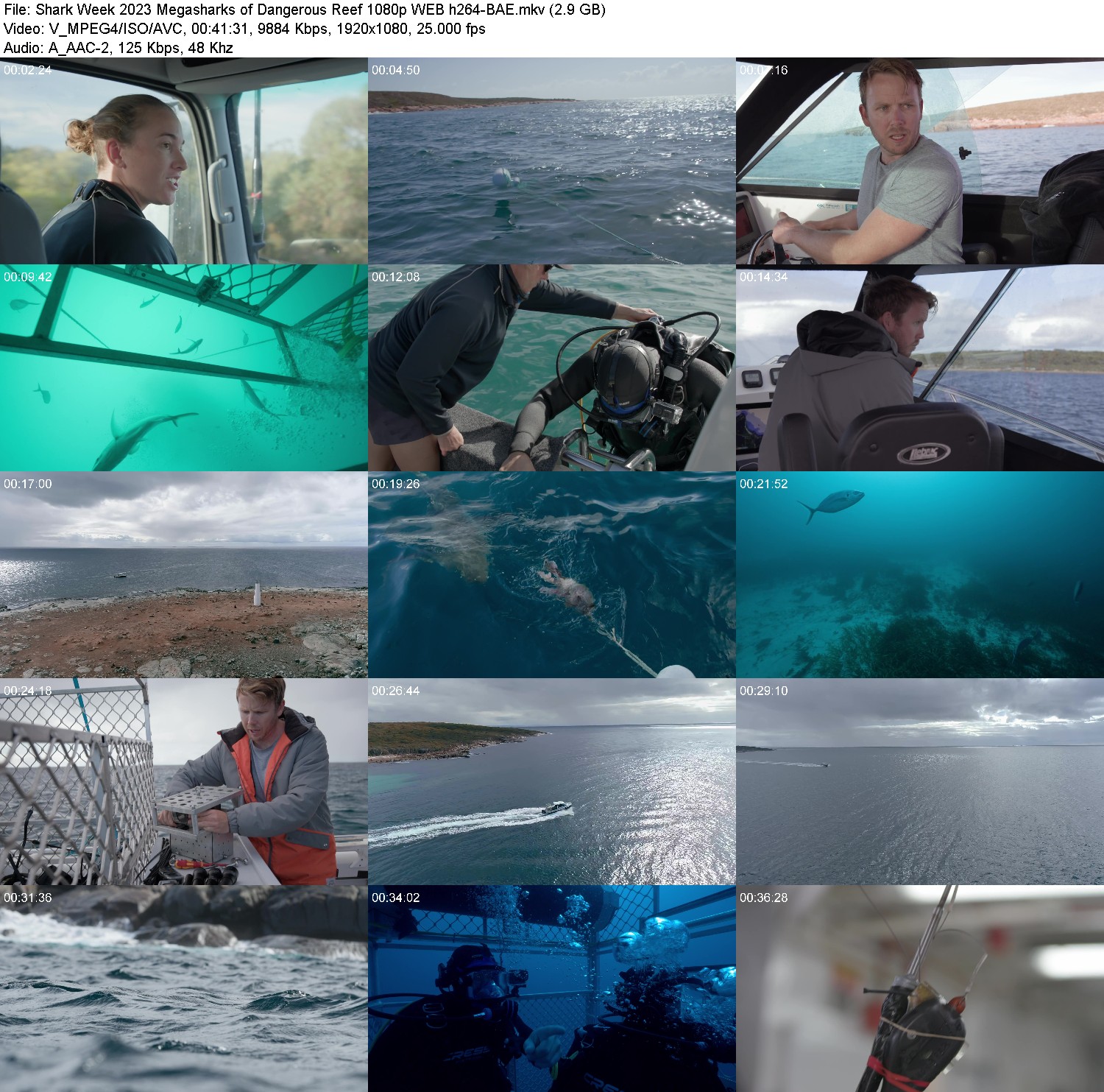 [Image: a6u9p5brflo4.jpg]