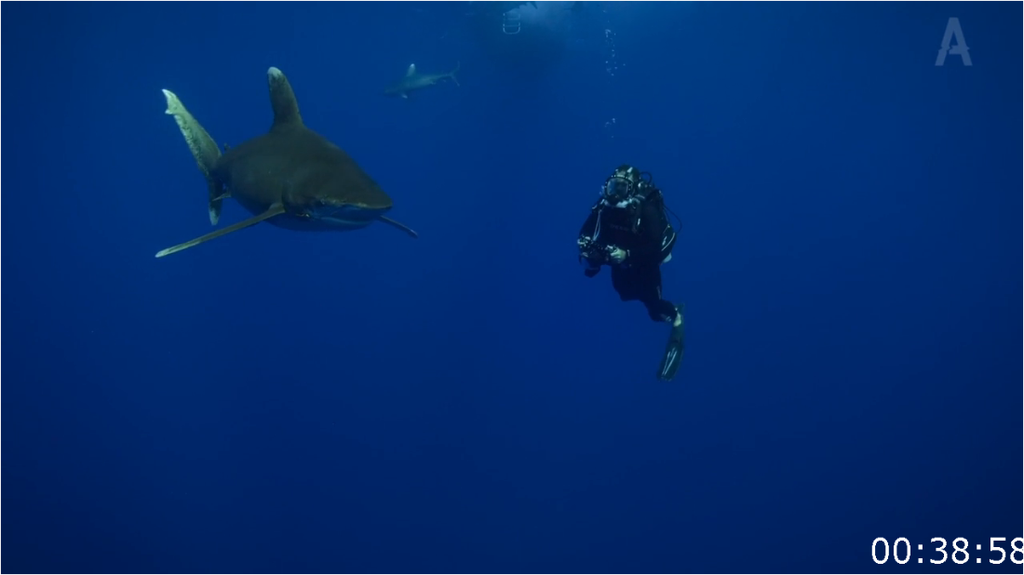 [Image: bjmis4zb73k6.png]