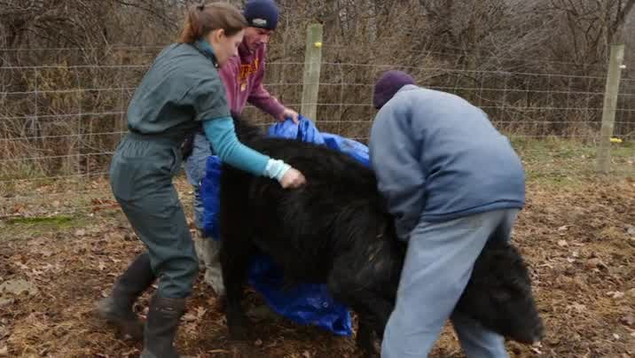 [Image: wzw40xhzjt28.jpg]