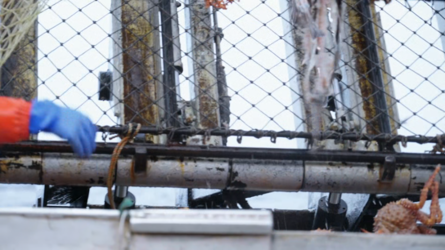 [Image: 4o1oogdb52jt.png]