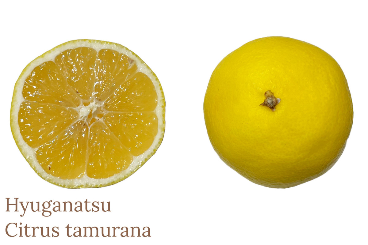 4FF0ADA5-B8CF-473E-B969-5F642E001A98