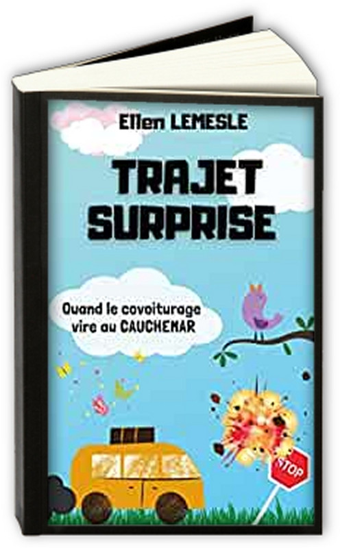 Trajet-surprise-Ellen-Lemesle.jpg