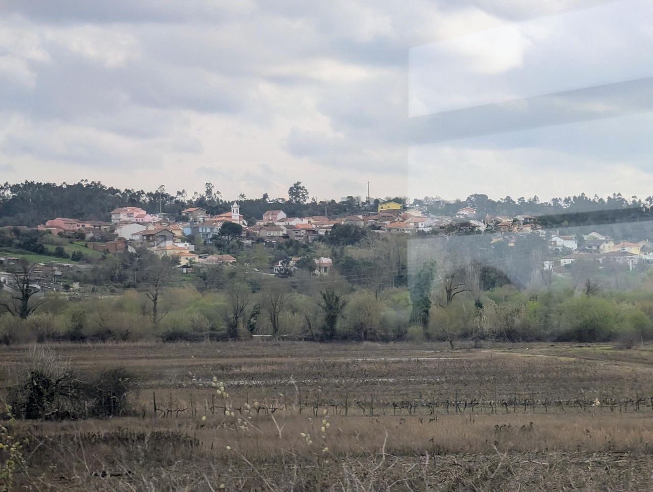 PXL 20260302 121609755 MP 2