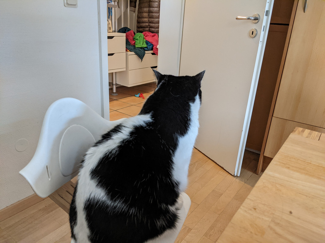 PXL_20201122_091008248