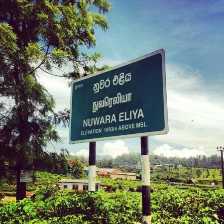 Direction Boards