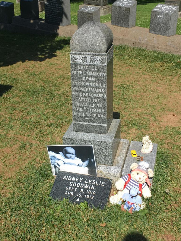 sdwm3ijj5c731.jpg