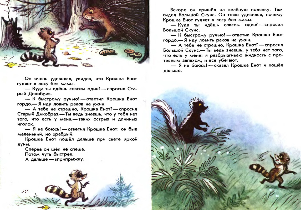 Муур крошка енот текст распечатать. Крошка енот книга. Муур «крошка енот и тот, кто сидит в пруду». Крошка енот. Крошка енот сутеев.
