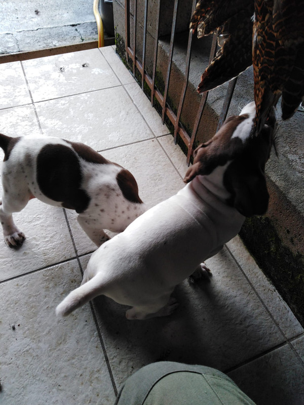 04972EE6-65BB-42FA-9465-E81276119180