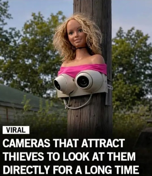 [Image: Cameras.jpg]
