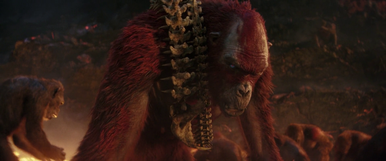 vlcsnap 2025 12 11 19h16m46s785