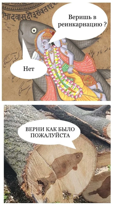 https://i.postimg.cc/X71jPcfb/5497.png