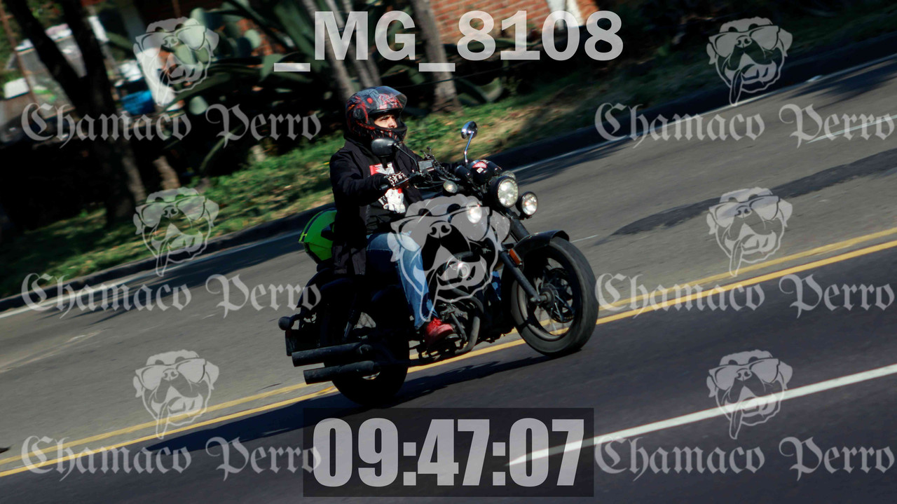 MUESTRA MG 8108 — Postimages