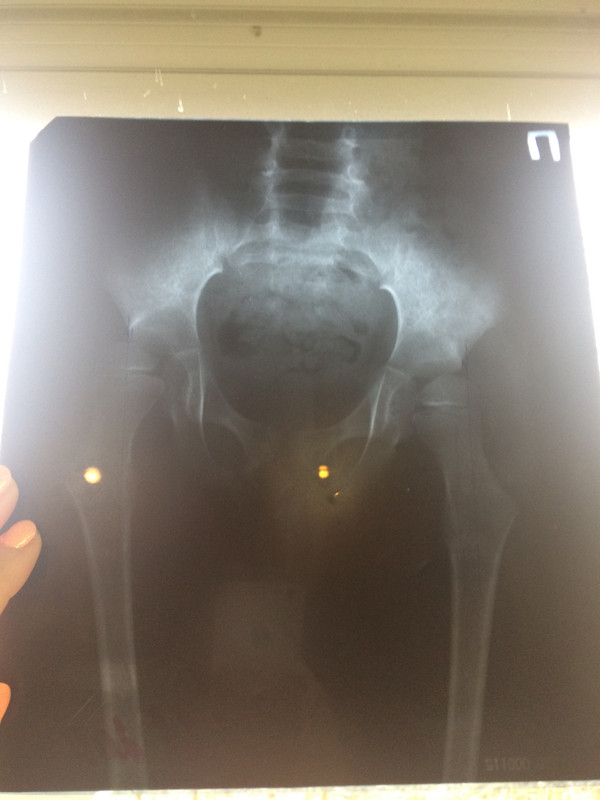 9848BA7E-18D1-4648-B51F-C32965F3BEAD