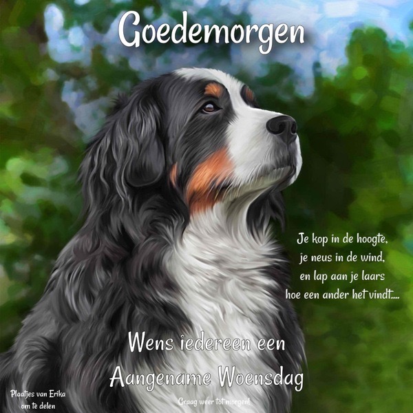 HTML leren