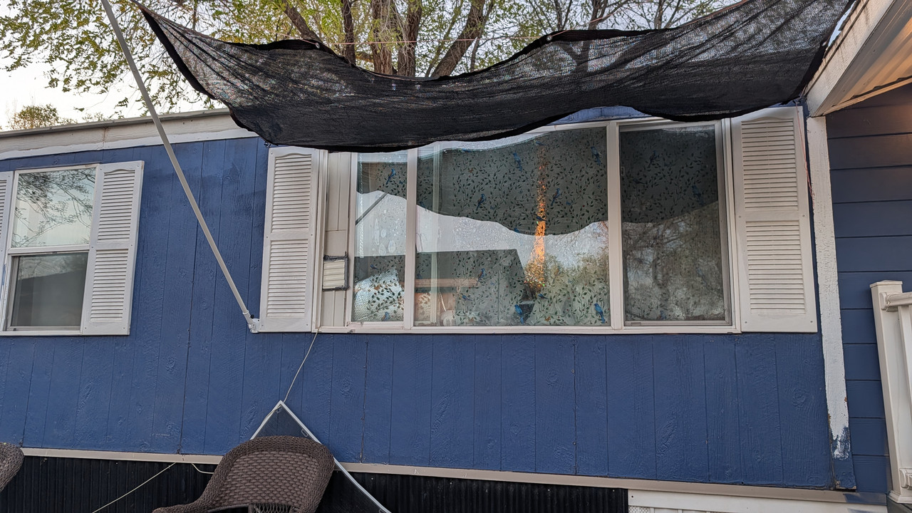 PXL 20260327 013646362