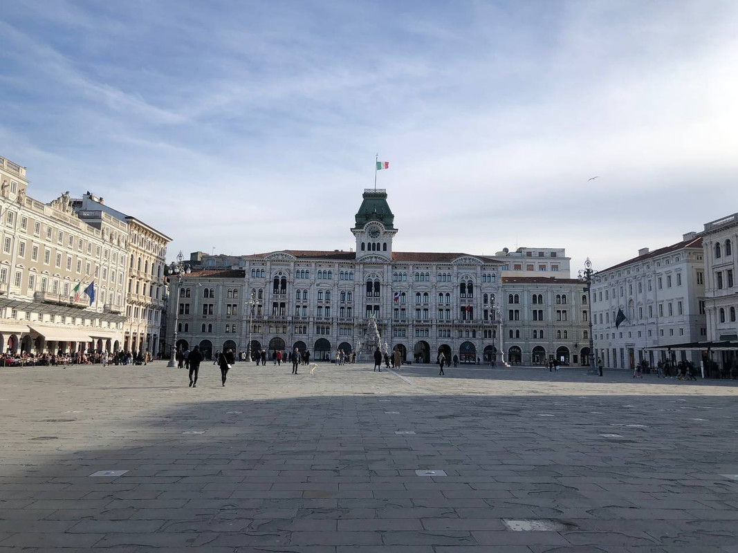 photo_2025-02-01_17-41-59 (2)