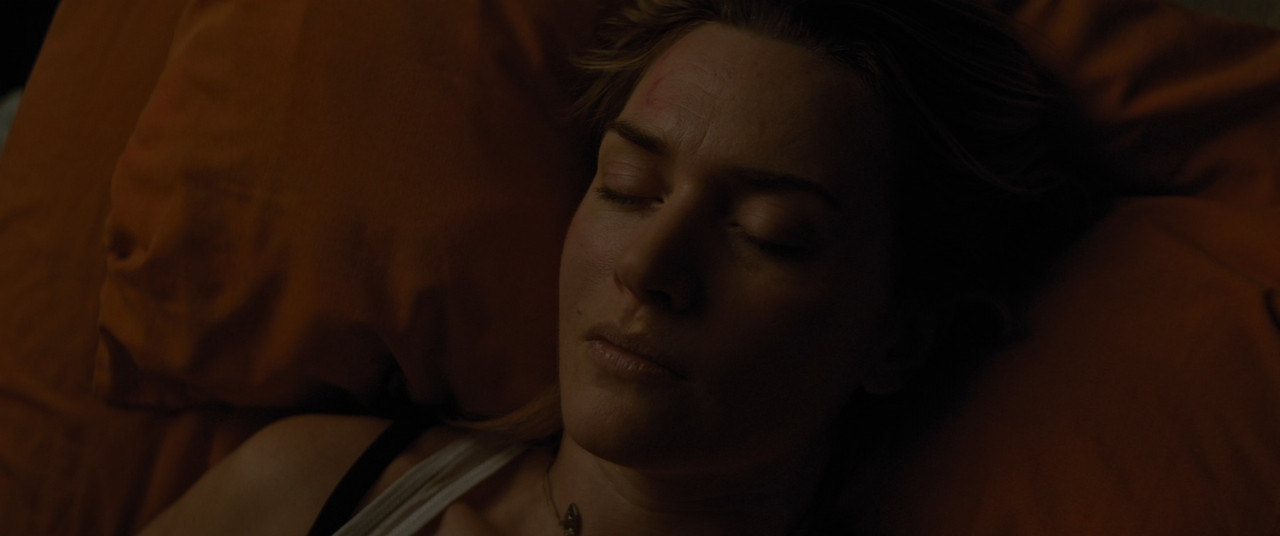 The Mountain Between Us 2017 (1080p x265 10bit Tigole).mkv_snaps