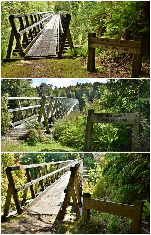 Escapadas y rutas por la Nueva Zelanda menos conocida - Blogs de Nueva Zelanda - Fiordland NP: Humpridge Track (febrero 2021) (57)