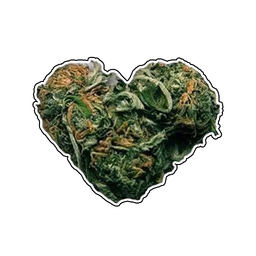 sticker.webp