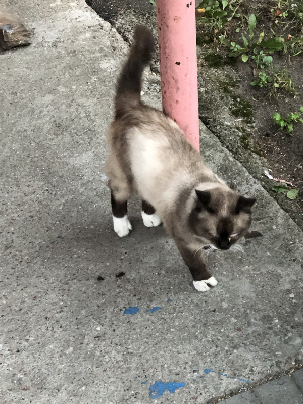 2225E815-A373-4967-8F07-8378C8DE47CB