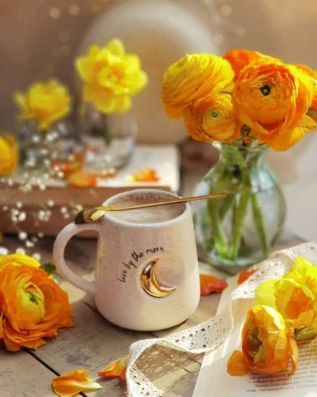 FB_IMG_1709234694701