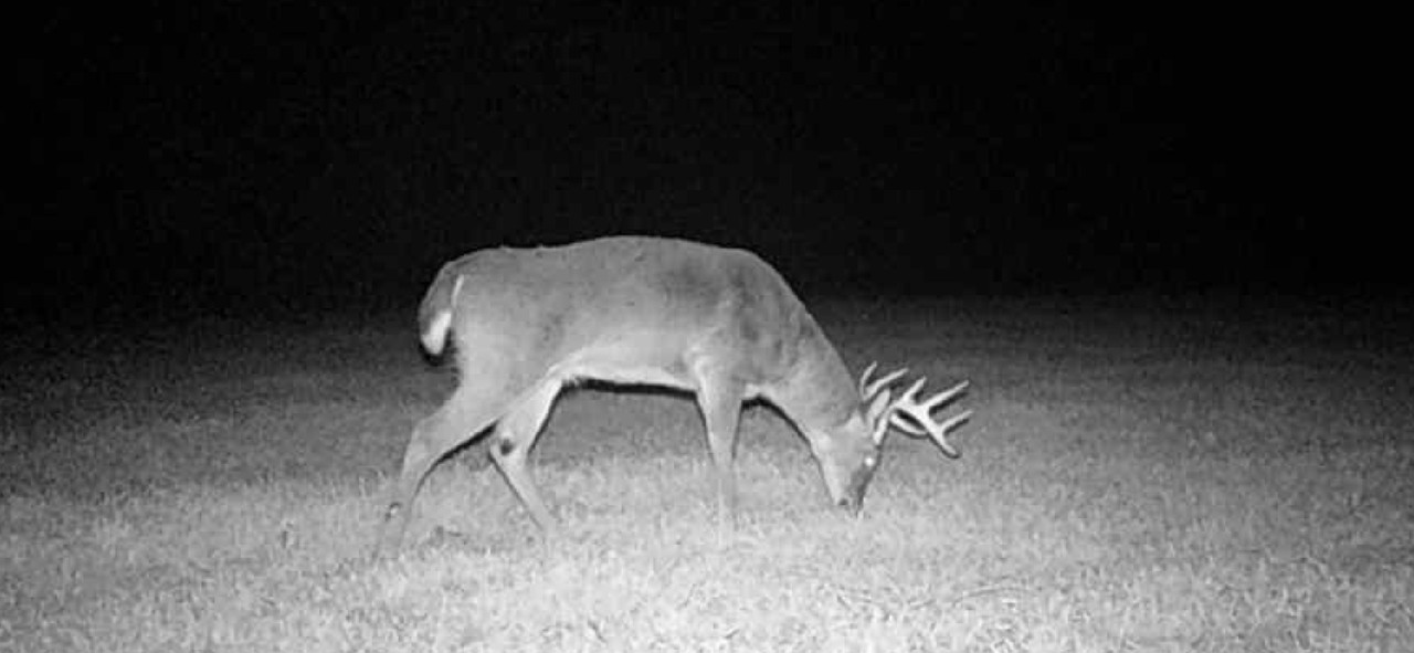 Screenshot 20251118 102044 Gallery