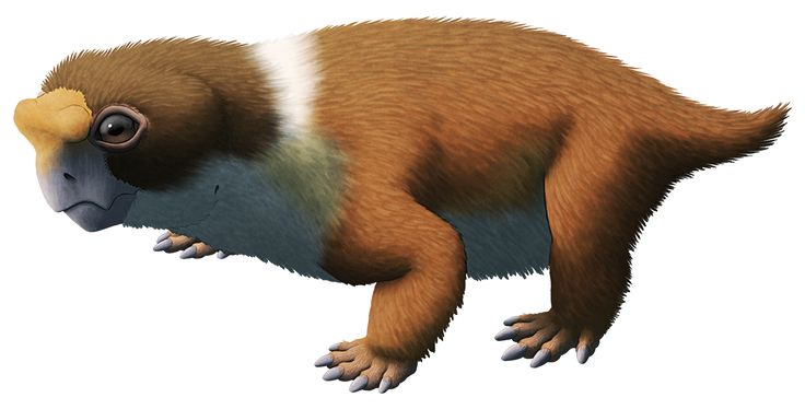 f29766000352f05dd910ee63db72eb1a