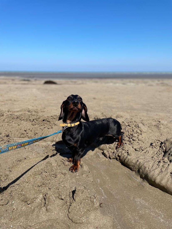 [Image: IMG-15121.jpg]