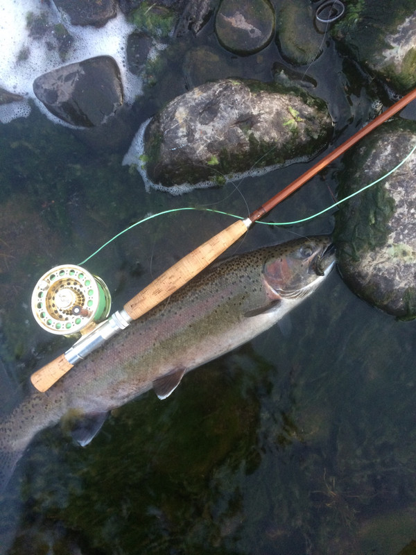 A8C44A3C-A712-4A40-81B0-EDFB15331B2E