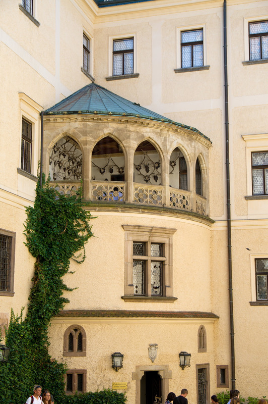 Obrázek