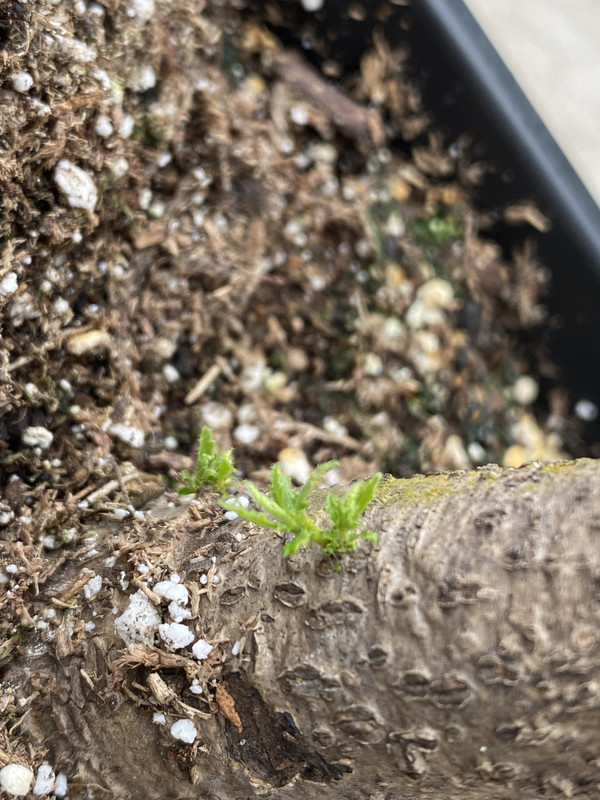 C7F1B7EE-74DF-4F20-B904-C9236E1F4FD9