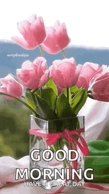 tulip-tulips