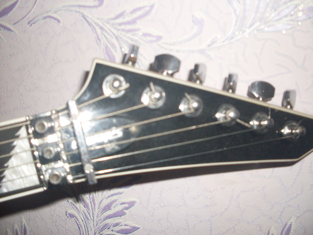 SDC10004