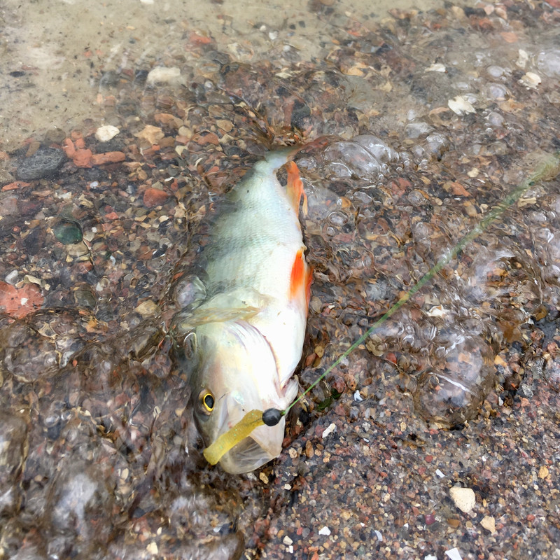 8331074E-B8A6-4FC9-B9B9-5CFAE7045B31