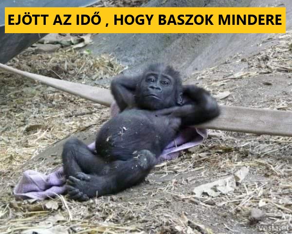 baszok-a-vil-gra.jpg