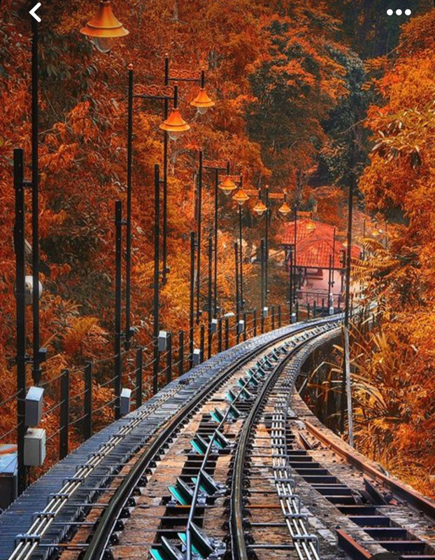 Screenshot_20231113_233613_Pinterest