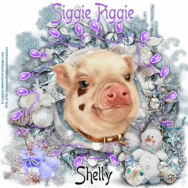 19-Laguna-Winter-Joys-Shelly
